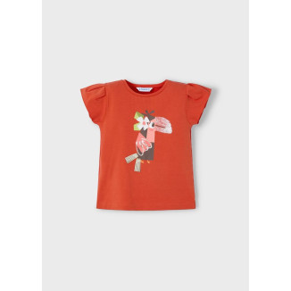 Camiseta m/c                  paprika