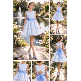 Vestido Organza Bordado Celeste