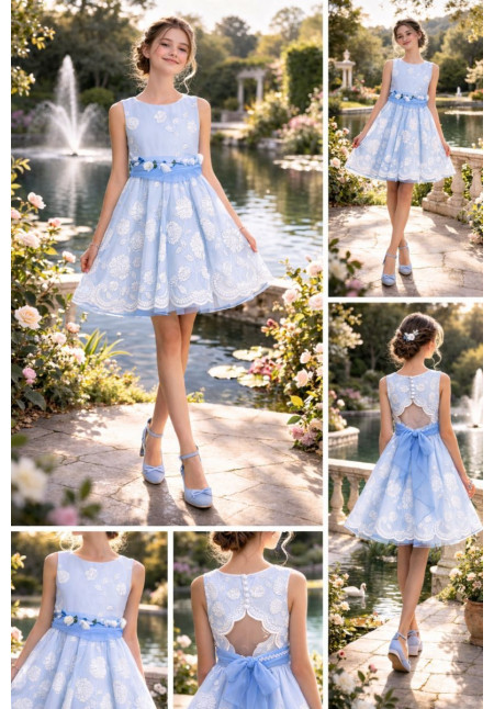 Vestido Organza Bordado Celeste