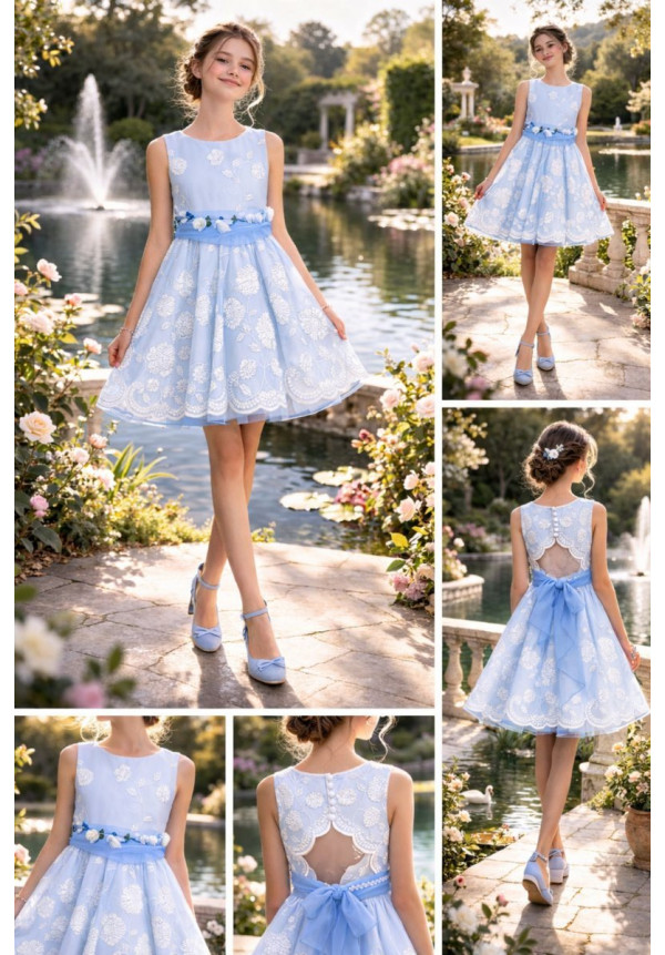 Vestido Organza Bordado Celeste