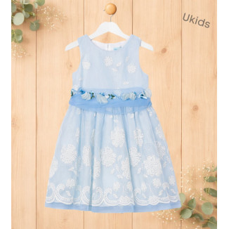 Vestido Organza Bordado Celeste